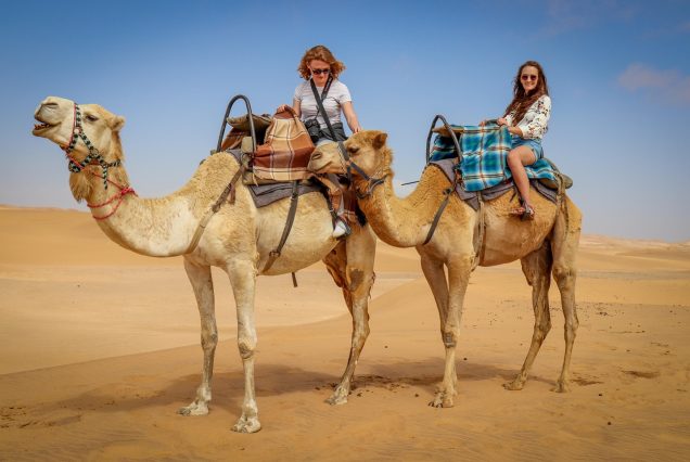 7 Days Golden Triangle Tour